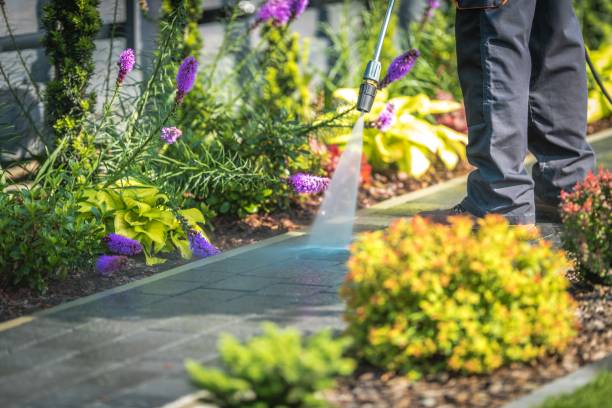 Best Factory Floor Cleaning  in Belvidere, IL